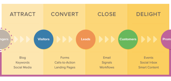 Insurance Agency Websites