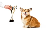 How to be an Employer of Choice