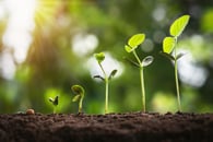 How to Evolve and Grow Your Business