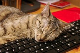 Getting Comfortable With Fee-for-Service