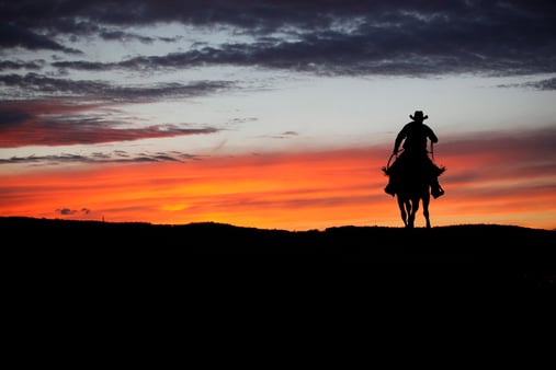 You Can Lead Them To Water