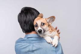 Four Questions That Scare Salespeople