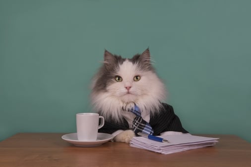 Underperforming Employees? Maybe it's Your Management. Or Lack of it.