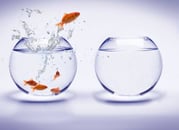 The Innovation Game