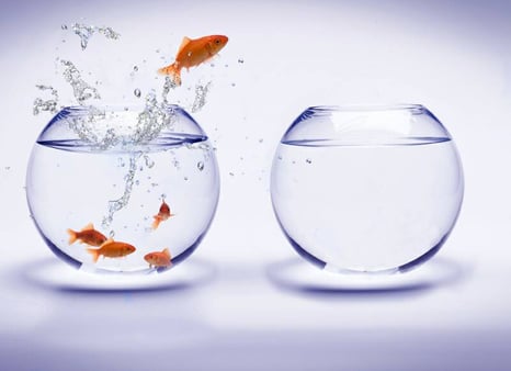 The Innovation Game