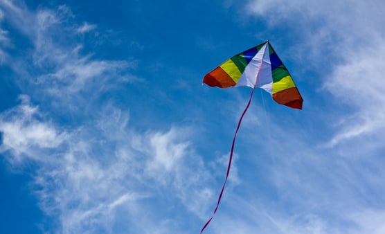 We Kinda Suck at This Leadership Thing