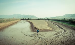 There Are No Shortcuts to Insurance Agency Growth & Success