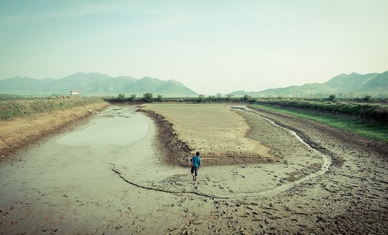 There Are No Shortcuts to Insurance Agency Growth & Success