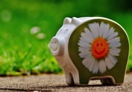 Image of a piggy bank cut in half