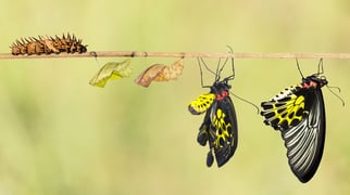 Implementing Change: 3 Tips for Success