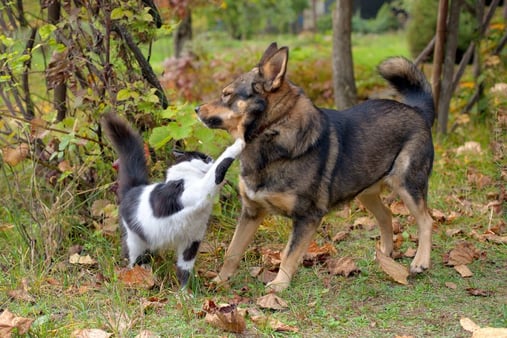 Sales and Marketing Relationship Status: It’s Complicated