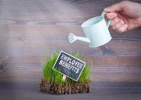 Could Employee Benefits Be the Key to Employee Retention?