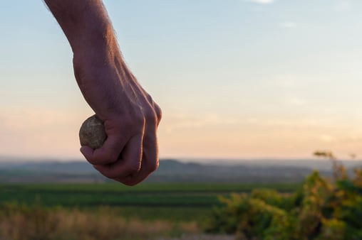 Hand holding rock, poised to throw 