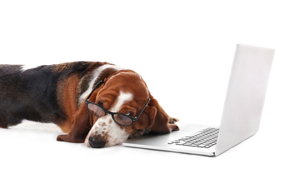 When Remote Work Doesn’t Work