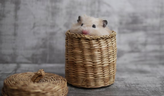 What if You Stopped Tiptoeing Around Stuff and Actually Started Doing it?