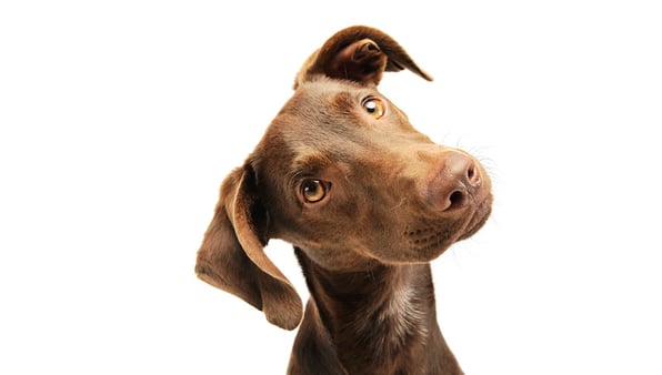 Vendor Relationships Not Working? Is It Them, or Is It You?