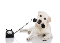 Employee Benefits Communication&nbsp;Is More Complicated Than You Think