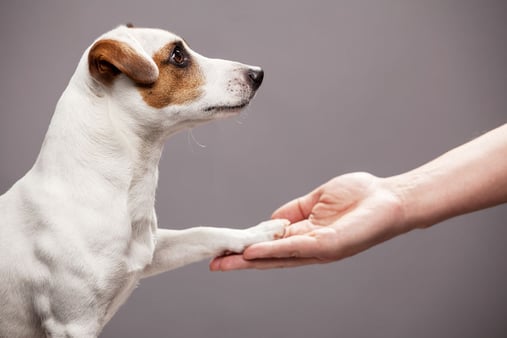 Recruiting&nbsp;Tip:&nbsp;Trust Your Candidates