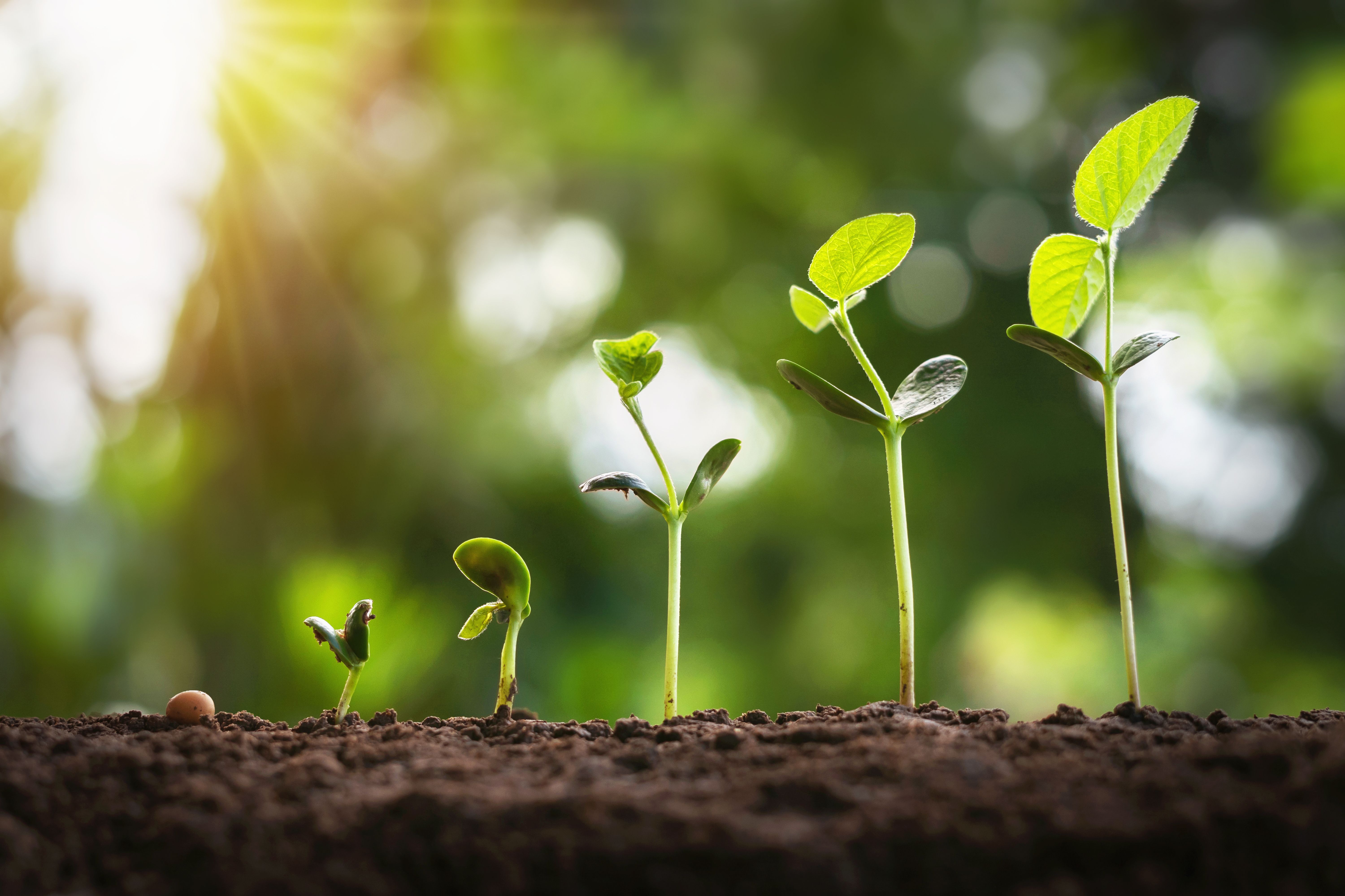 How to Evolve and Grow Your Business