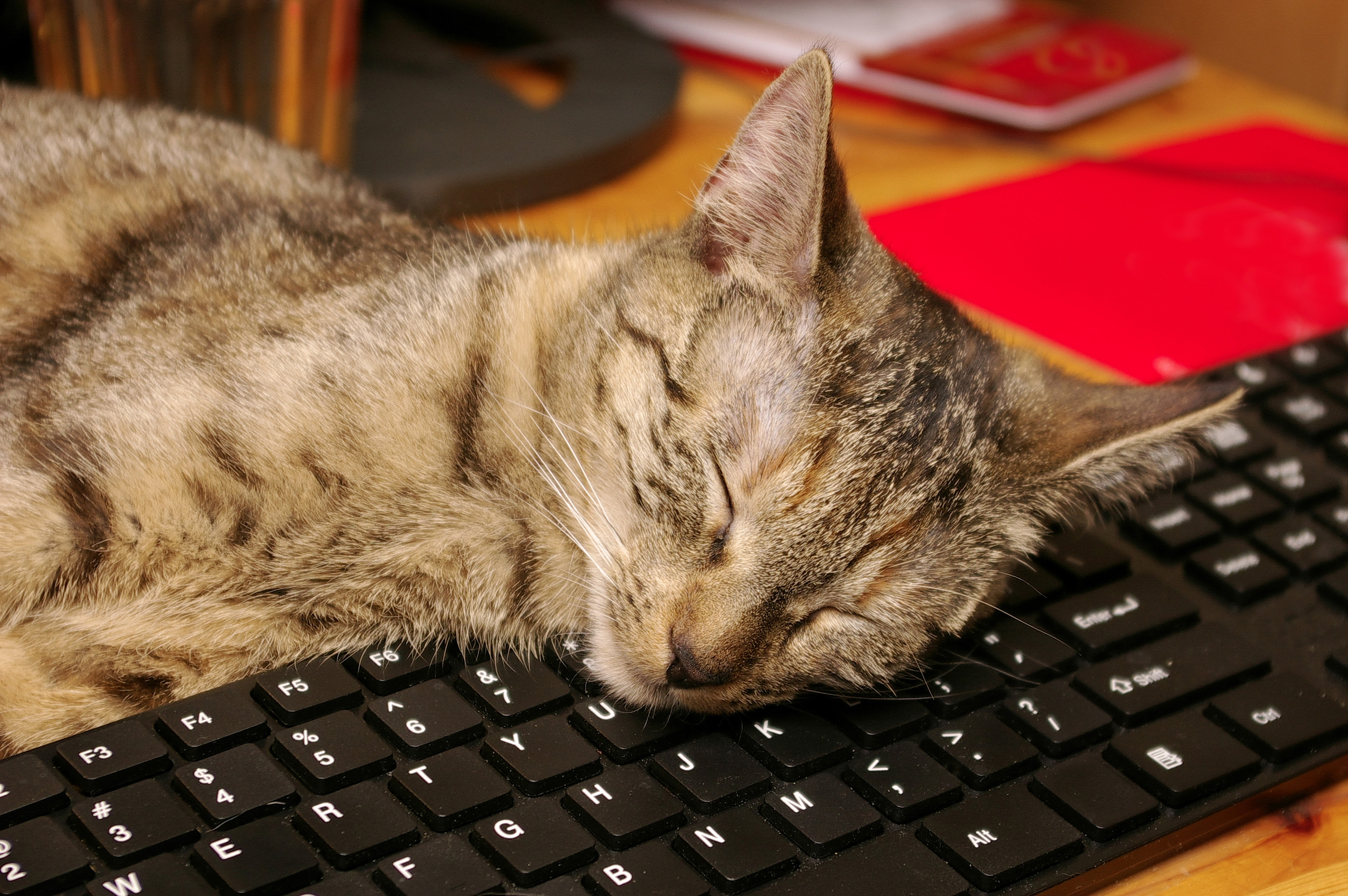 Getting Comfortable With Fee-for-Service