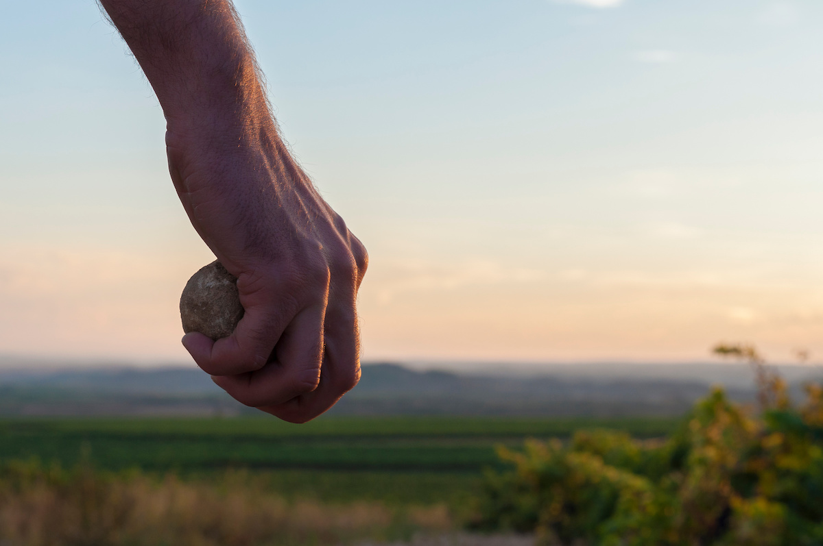 Hand holding rock, poised to throw 